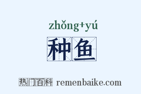 种鱼是什么意思的图片